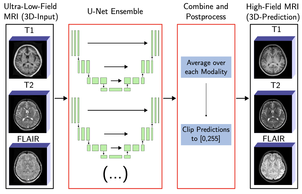 Utilizing an Ensemble of 3D U-Nets to Predict High-Field MRI T1-, T2-, and FLAIR-Images from Ultra-Low-Field MRI Images